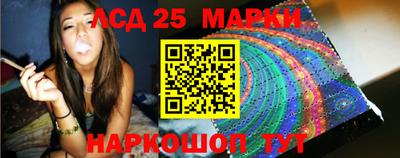 индика Рыбинск