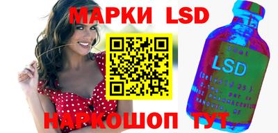 индика Рыбинск