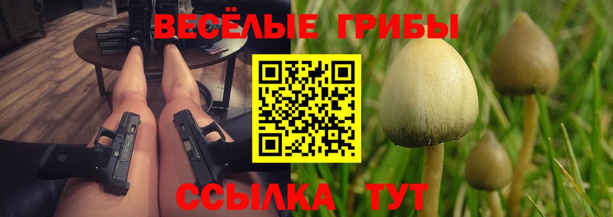 Саяногорск  Галлюциногенные грибы прущие грибы  Галлюциногенные грибы мухоморы  Вход с VPN 